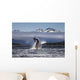 Composite A humpback whale breaches, leaping Wall Mural