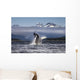Composite A humpback whale breaches, leaping Wall Mural