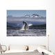 Composite A humpback whale breaches, leaping Wall Mural