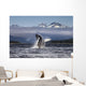 Composite A humpback whale breaches, leaping Wall Mural