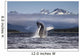 Composite A humpback whale breaches, leaping Wall Mural