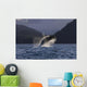 A Humpback Whale leaps Wall Mural