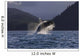 A Humpback Whale leaps Wall Mural