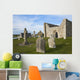 Clonmacnoise Wall Mural