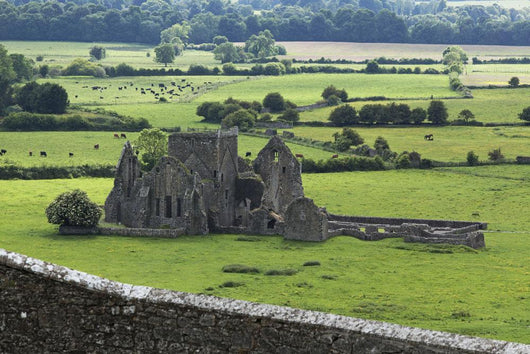 Hore Abbey near Cashel Wall Mural