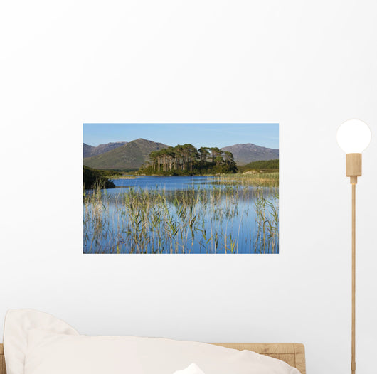 Derryclare Lough Wall Mural