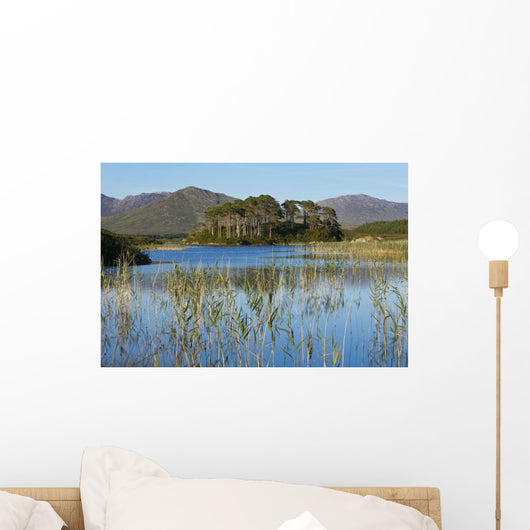 Derryclare Lough Wall Mural