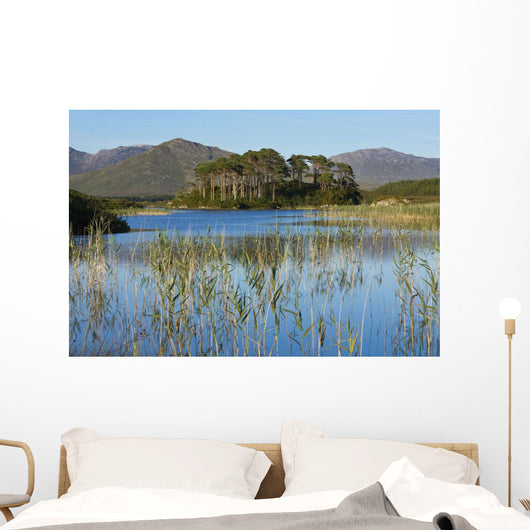 Derryclare Lough Wall Mural