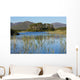 Derryclare Lough Wall Mural