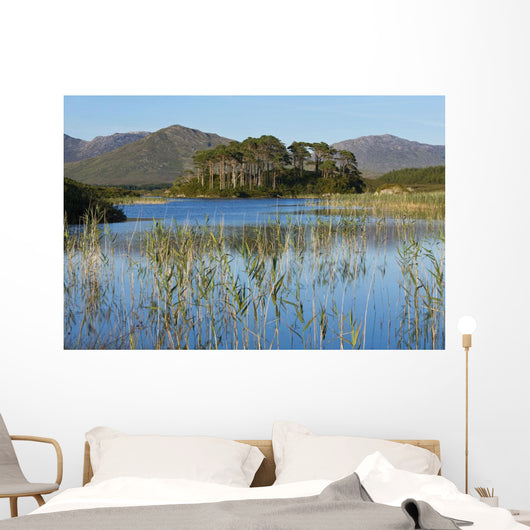 Derryclare Lough Wall Mural