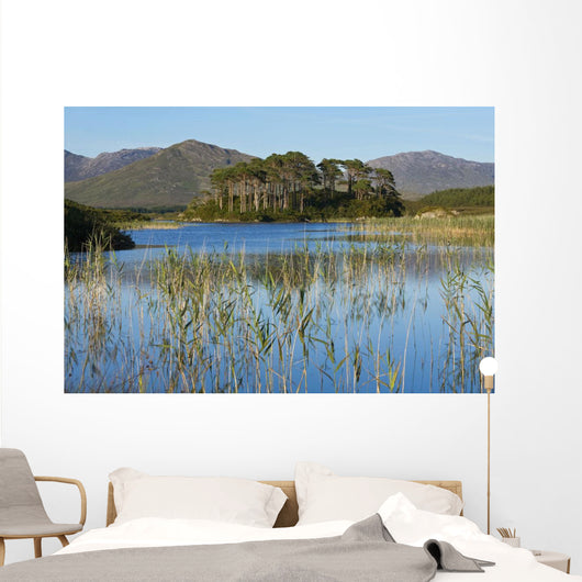 Derryclare Lough Wall Mural