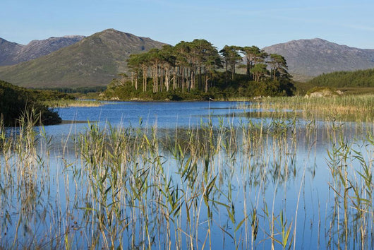 Derryclare Lough Wall Mural