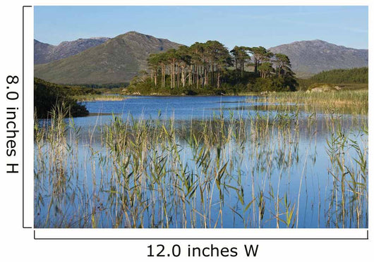 Derryclare Lough Wall Mural