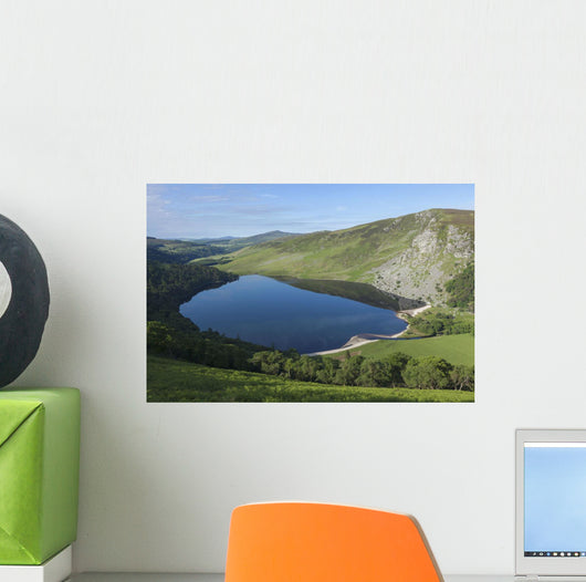 Lough Tay and Wicklow Mountains Wall Mural