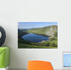 Lough Tay and Wicklow Mountains Wall Mural