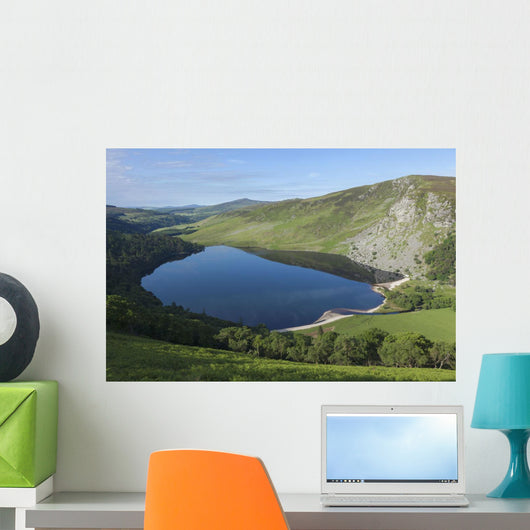 Lough Tay and Wicklow Mountains Wall Mural
