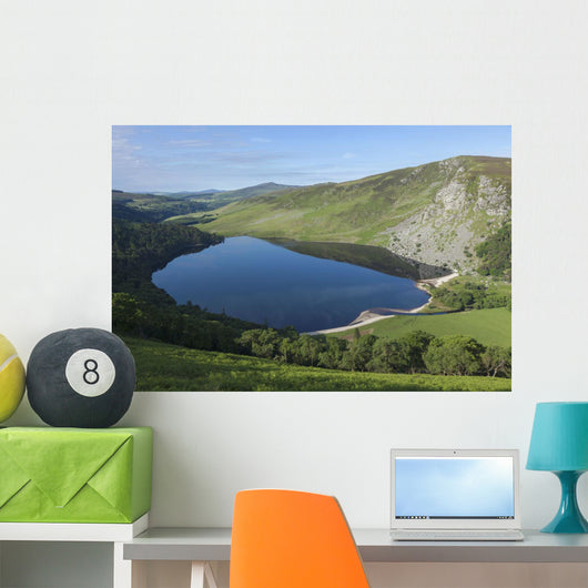 Lough Tay and Wicklow Mountains Wall Mural