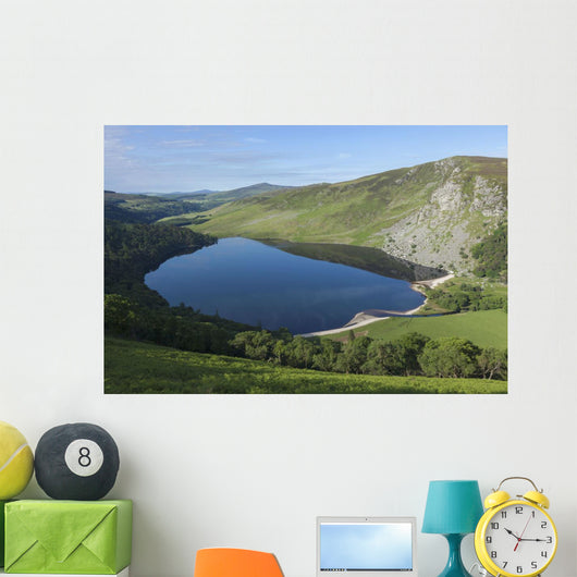 Lough Tay and Wicklow Mountains Wall Mural