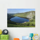 Lough Tay and Wicklow Mountains Wall Mural