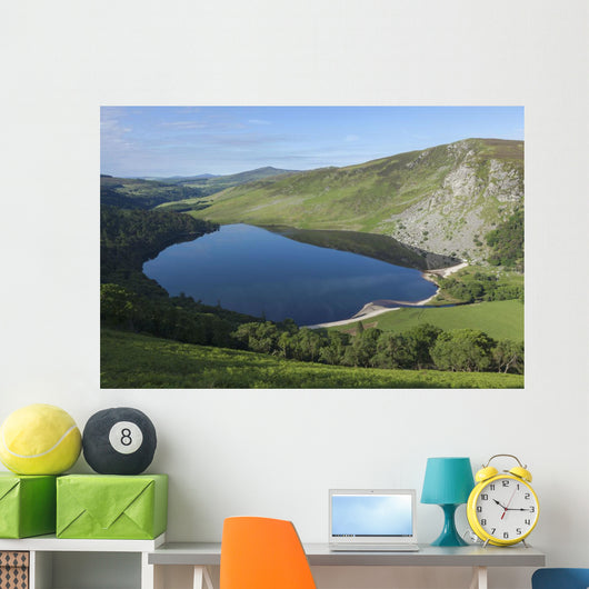 Lough Tay and Wicklow Mountains Wall Mural