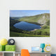 Lough Tay and Wicklow Mountains Wall Mural
