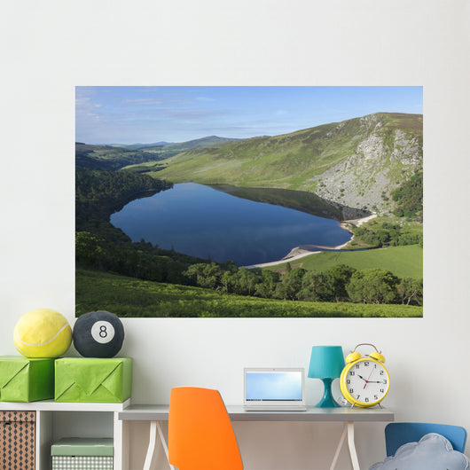 Lough Tay and Wicklow Mountains Wall Mural