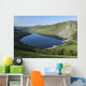 Lough Tay and Wicklow Mountains Wall Mural