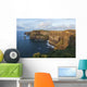 Cliffs of Moher Wall Mural