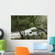 Creek near Torc Waterfall, Killarney National Park Wall Mural