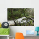 Creek near Torc Waterfall, Killarney National Park Wall Mural