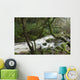 Creek near Torc Waterfall, Killarney National Park Wall Mural