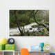 Creek near Torc Waterfall, Killarney National Park Wall Mural