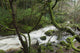 Creek near Torc Waterfall, Killarney National Park Wall Mural
