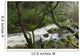 Creek near Torc Waterfall, Killarney National Park Wall Mural
