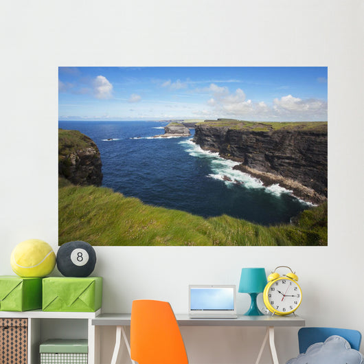 Coast near Kilkee Wall Mural