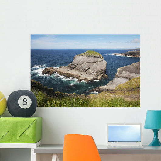 Coast near Kilkee Wall Mural