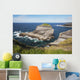 Coast near Kilkee Wall Mural