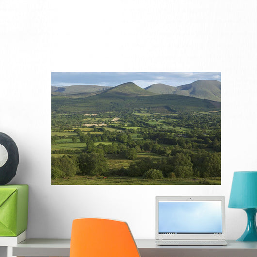View from Glen of Aherlow towards Galtee Mountains Wall Mural
