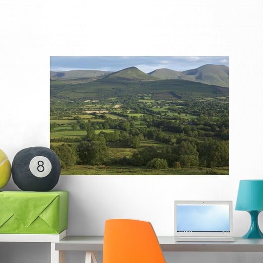 View from Glen of Aherlow towards Galtee Mountains Wall Mural