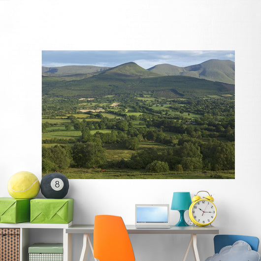 View from Glen of Aherlow towards Galtee Mountains Wall Mural