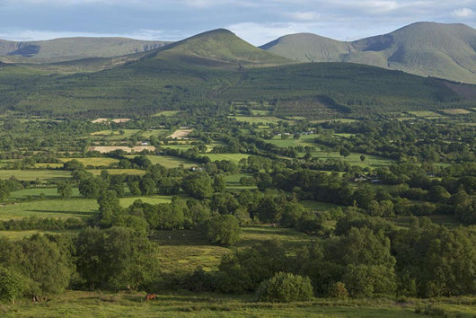 View from Glen of Aherlow towards Galtee Mountains Wall Mural