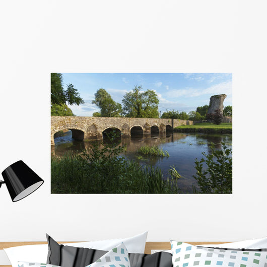 Stone bridge over River Suir Wall Mural