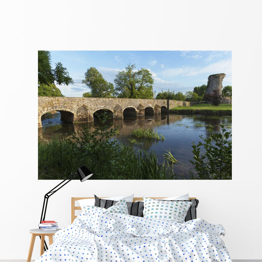 Stone bridge over River Suir Wall Mural