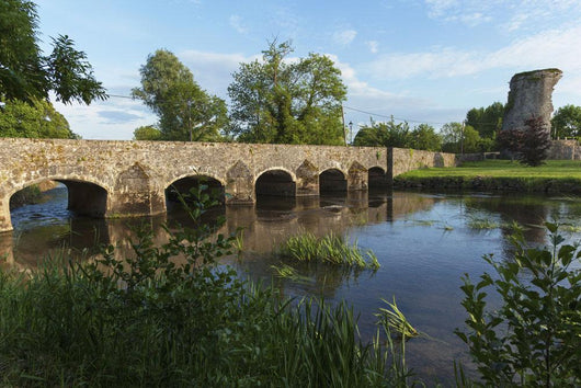 Stone bridge over River Suir Wall Mural