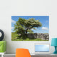 Weidornbaum in Burren Wall Mural