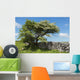 Weidornbaum in Burren Wall Mural