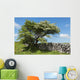Weidornbaum in Burren Wall Mural