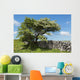 Weidornbaum in Burren Wall Mural