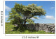 Weidornbaum in Burren Wall Mural