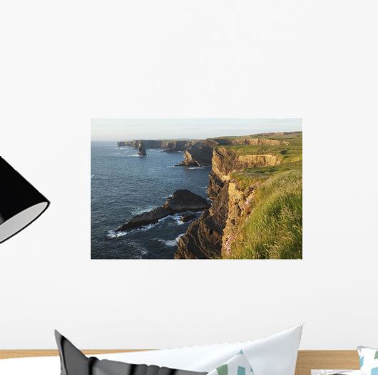 Coast south of Kilkee Wall Mural